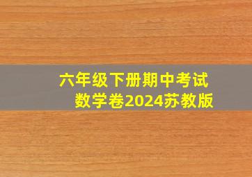 六年级下册期中考试数学卷2024苏教版