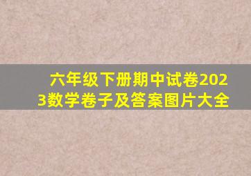 六年级下册期中试卷2023数学卷子及答案图片大全