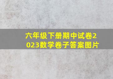 六年级下册期中试卷2023数学卷子答案图片