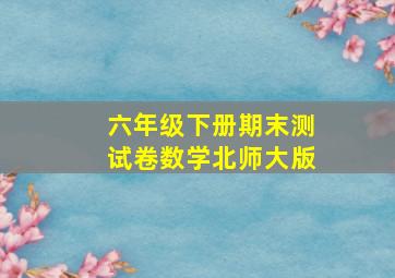 六年级下册期末测试卷数学北师大版