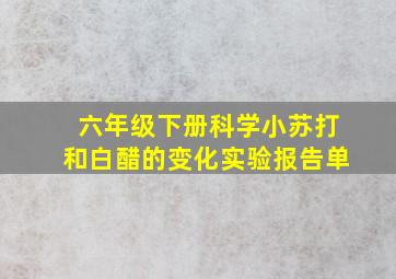 六年级下册科学小苏打和白醋的变化实验报告单