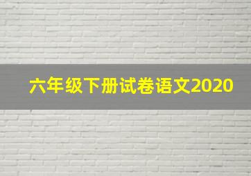 六年级下册试卷语文2020