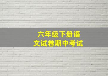 六年级下册语文试卷期中考试