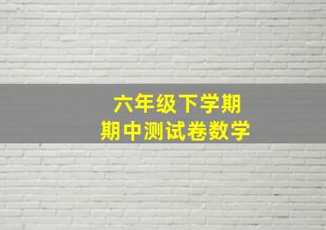 六年级下学期期中测试卷数学