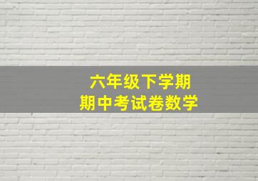 六年级下学期期中考试卷数学