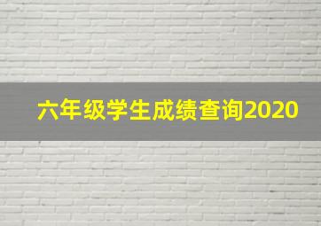 六年级学生成绩查询2020