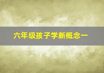 六年级孩子学新概念一