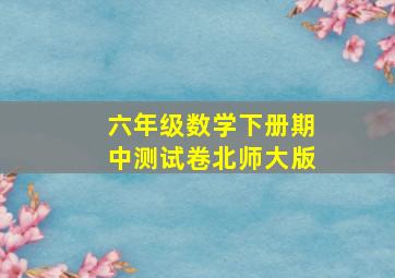 六年级数学下册期中测试卷北师大版