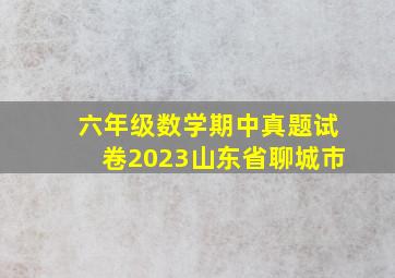 六年级数学期中真题试卷2023山东省聊城市