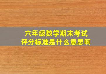 六年级数学期末考试评分标准是什么意思啊