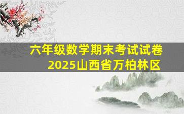 六年级数学期末考试试卷2025山西省万柏林区