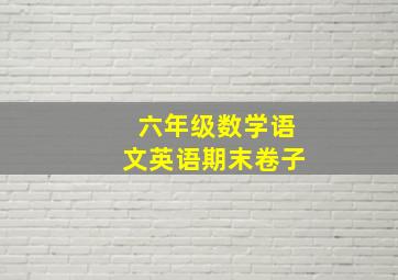 六年级数学语文英语期末卷子