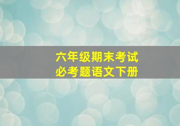 六年级期末考试必考题语文下册