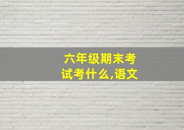 六年级期末考试考什么,语文