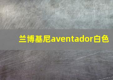 兰博基尼aventador白色