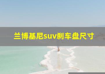 兰博基尼suv刹车盘尺寸