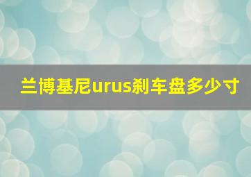 兰博基尼urus刹车盘多少寸