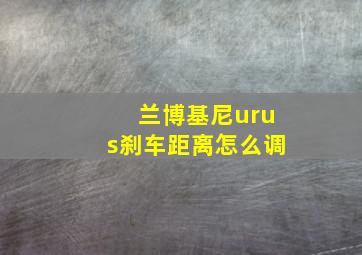 兰博基尼urus刹车距离怎么调