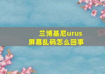 兰博基尼urus屏幕乱码怎么回事