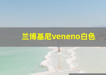 兰博基尼veneno白色