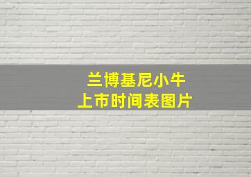 兰博基尼小牛上市时间表图片