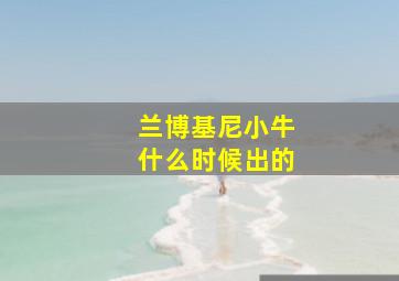 兰博基尼小牛什么时候出的