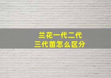 兰花一代二代三代苗怎么区分