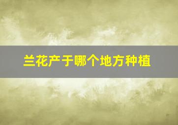 兰花产于哪个地方种植