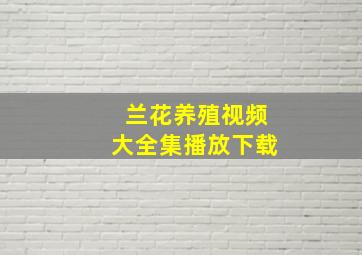 兰花养殖视频大全集播放下载