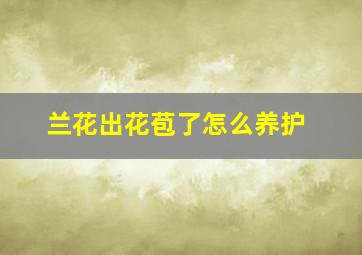 兰花出花苞了怎么养护