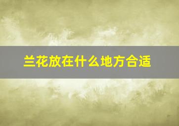 兰花放在什么地方合适