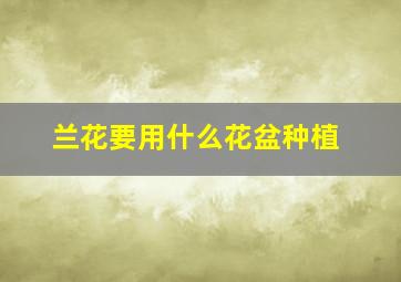 兰花要用什么花盆种植