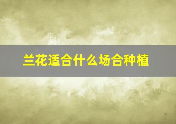 兰花适合什么场合种植