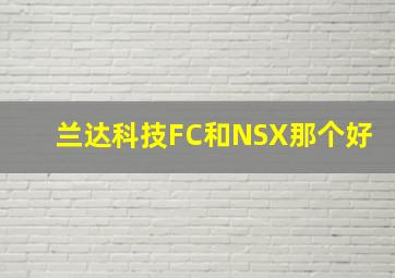 兰达科技FC和NSX那个好