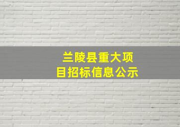 兰陵县重大项目招标信息公示