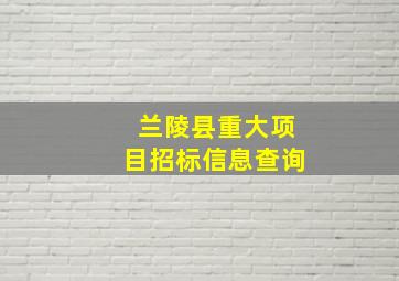 兰陵县重大项目招标信息查询