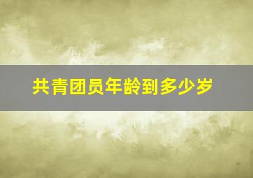 共青团员年龄到多少岁