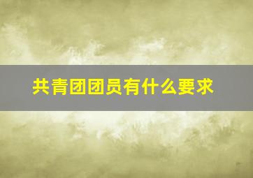 共青团团员有什么要求