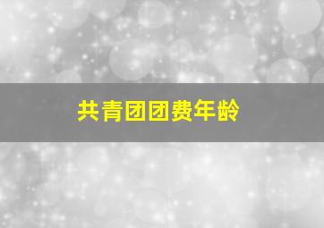 共青团团费年龄