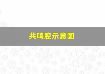 共鸣腔示意图