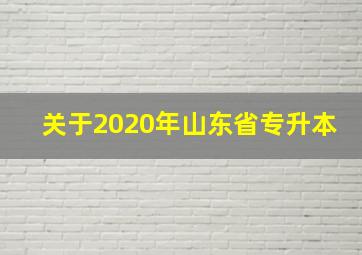 关于2020年山东省专升本