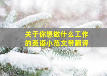 关于你想做什么工作的英语小范文带翻译