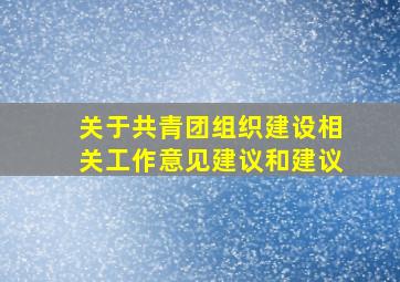 关于共青团组织建设相关工作意见建议和建议