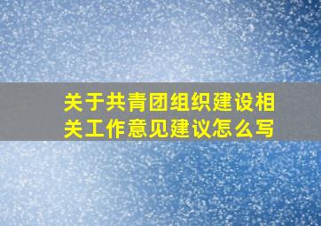 关于共青团组织建设相关工作意见建议怎么写