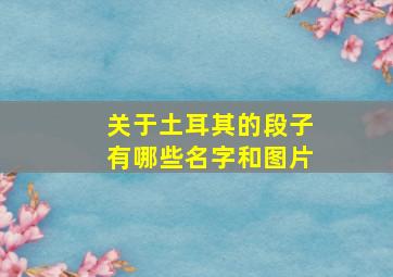 关于土耳其的段子有哪些名字和图片