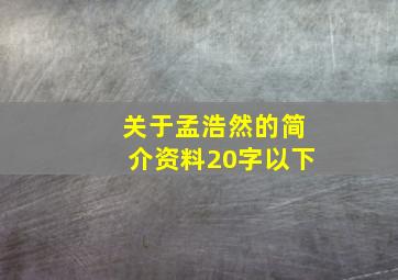 关于孟浩然的简介资料20字以下