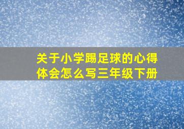 关于小学踢足球的心得体会怎么写三年级下册