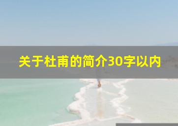 关于杜甫的简介30字以内