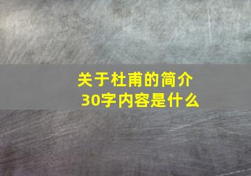 关于杜甫的简介30字内容是什么