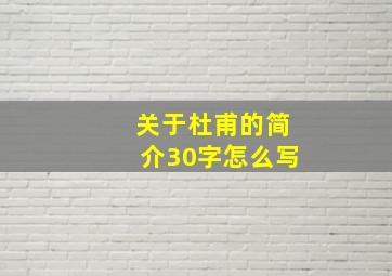 关于杜甫的简介30字怎么写